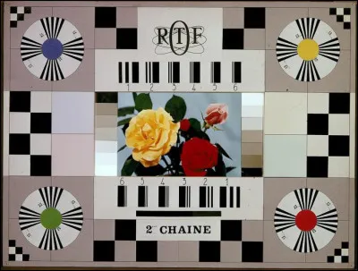 La couleur arrivait sur nos petits écrans ! Très rares étaient encore les TV couleurs en France. En quelle année cette révolution eut-elle lieu ?