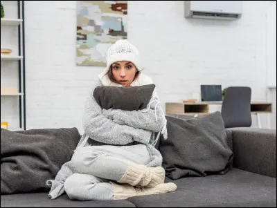 Le vent était glacial et Lisa ne s'est pas assez couverte, elle est ...
