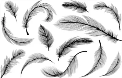 Lequel de ces mots ne peut-on pas associer à celui de ''plume'' ?