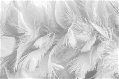 Lorsque quelqu'un se fait dépouiller, escroquer, on dit...