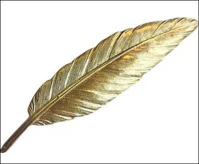 Que pouvez-vous dire de cette plume ?