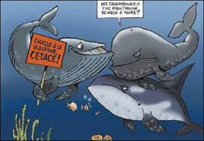 Dans la symbolique des animaux, à quoi correspond la baleine ?