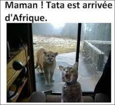 Quel pays d'Afrique est le plus peuplé ?