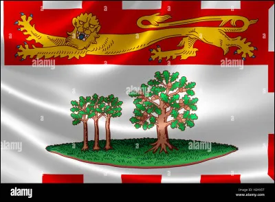 Quelle est cette subdivision ?