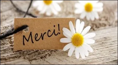 Comment dit-on tout simplement "merci" en croate ?
