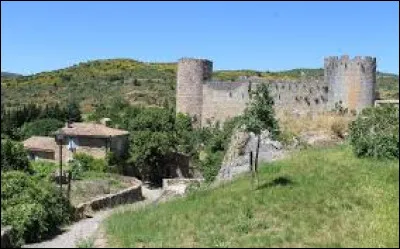 Les parfaits, ou les bons hommes, sont les ministres du culte cathare. Le dernier connu est un certain Guilhem Bélibaste. Il fut brûlé vif en 1321 dans un château fort situé dans les Hautes Corbières, sur le site de...