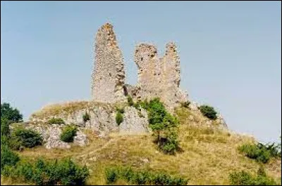 Les cathares, des libertins ? Même si la sexualité était interdite aux bons hommes et bonnes femmes (les ministres du culte) les cathares pouvaient s'y adonner même hors mariage avant de devenir ''parfaits''. Dans son ouvrage consacré à Montaillou, dernier village cathare, E. Le Roy Ladurie en apporte les preuves. Mais d'où ce village tire-t-il son nom ?