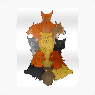 Comment sappellent-ils ?