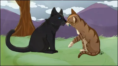 Lesquels de ces chats ont un amour interdit ?