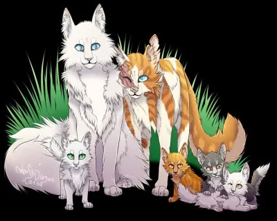 Où vivent-ils ? Deuxième territoire :