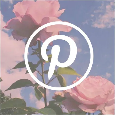 Logos : Quel est ce logo ?