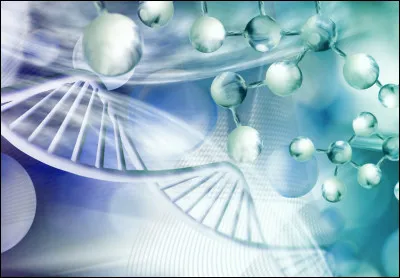 Mon premier est un jeu similaire au baseball.
Mon deuxième est le ''non'' anglais.
Mon troisième est ce que l'on peut gagner à une tombola.
Mon quatrième est la dixième lettre de l'alphabet.
Mon tout est une matière scientifique.