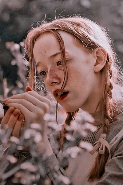 Comment a-t-elle nomm&eacute; la jument des Pignons verts ?