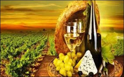 Quel est le nom de l'ensemble du processus de transformation du raisin en vin ?