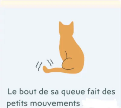 Quand le chat a cette position de queue, comment est-il ?