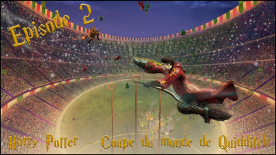 Comment Harry, Cedric, Hermione et les Weasley se rendent-ils à la Coupe du Monde de Quidditch ?