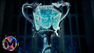 Quels élèves participent au tournoi ?