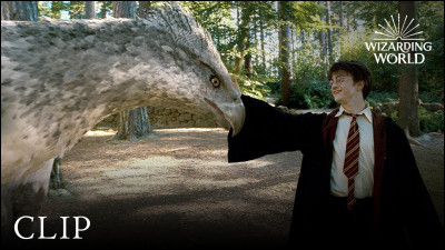 Qui assure les cours de soins aux créatures magiques ?