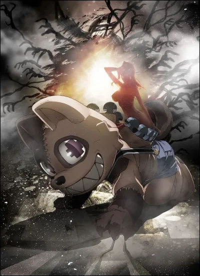 Quel est le nom de cet animé ?