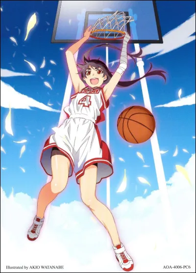 Quel est le nom de cet animé ?