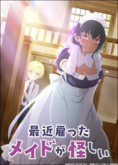 Quel est le nom de cet animé ?