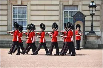À quelle garde appartenait les grenadiers, qui les premiers, ont porté le bonnet à poil qu'on peut voir aujourd'hui sur les gardes britanniques ?