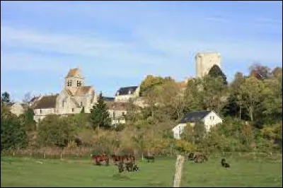 Village picard, dans l'arrondissement de Soissons, Drouzy se situe dans le département ...