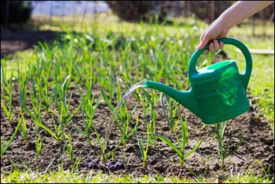 Quel est cet objet ?