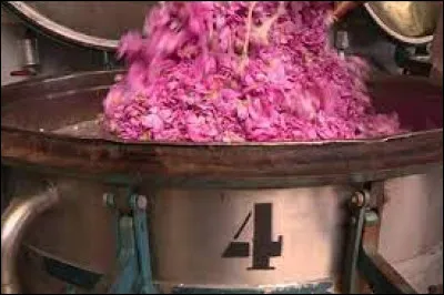 Quel peuple a inventé la technique de distillation qui consiste a extraire le parfum ?