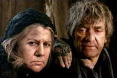 Quelle est la profession des Thénardier, dans le roman ''Les Misérables'' de Victor Hugo ?