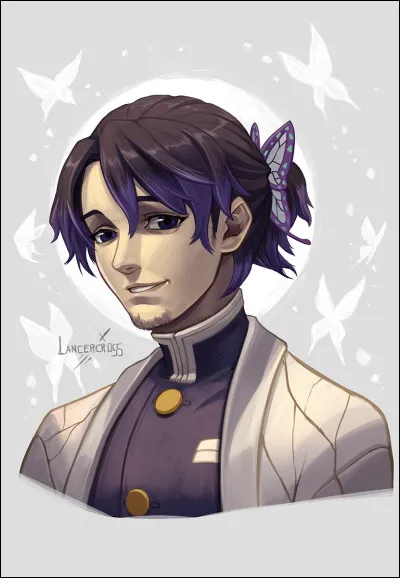 Qui est donc ce Mr Papillon ?