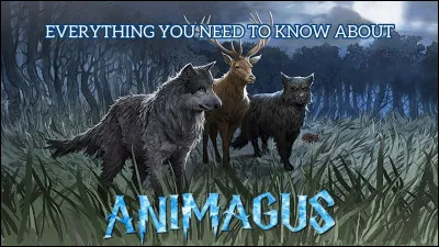 Quel serait ton animagus ?