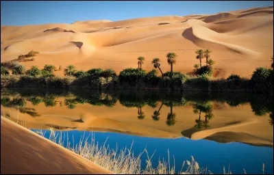 Quel pays d'Afrique du Nord abrite les régions de Cyrénaïque, de Tripolitaine et du Fezzan ?