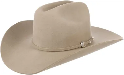 Quel est ce chapeau ?