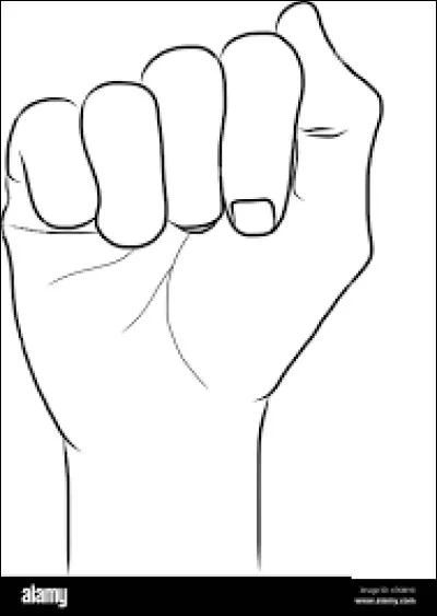 Quelle lettre de l'alphabet correspond en langue des signes à ce geste ?