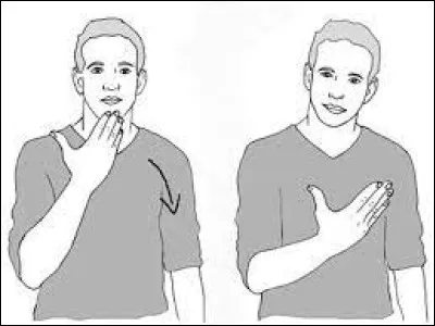 Quel mot est exprimé par ce geste ?