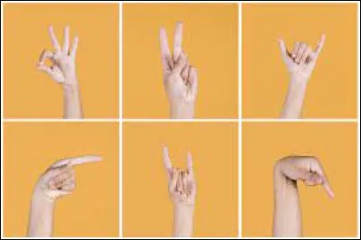 En quelle année la langue des signes a-t-elle été reconnue comme une langue à part entière ?