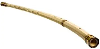 Comment s'appelle cet instrument spécifique à la musique baroque ?