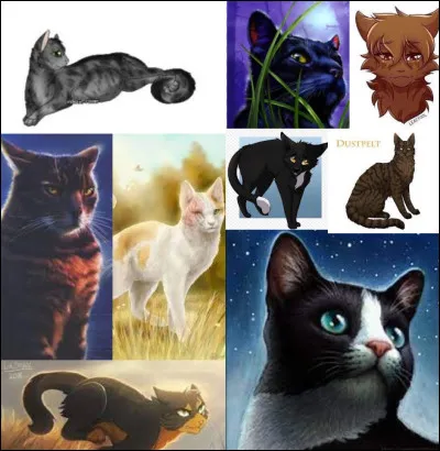 Qui est son mentor guerrier ?