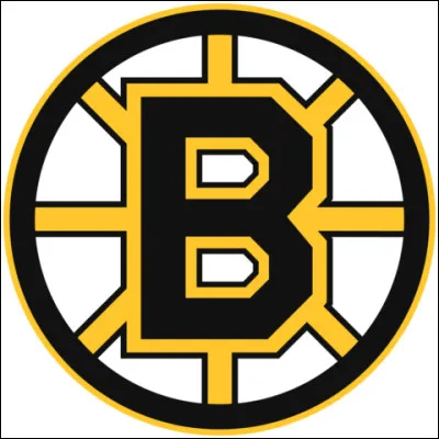 Quel est le logo de cette équipe de hockey ?