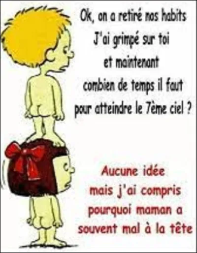 ''Le Septième Ciel'' est un film dramatique sorti en 1997. Réalisé par Benoît Jacquot, quelle actrice y interprète le rôle principal ?