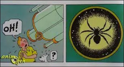 Dans quel album Tintin voit-il une araignée à travers une lunette télescopique ?