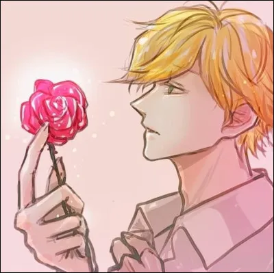 Qu'offre Chat Noir pour prouver son amour à Ladybug ?