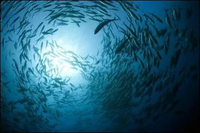 Sur quel banc n'est-il pas facile de s'asseoir ?