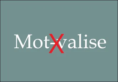 Quel mot n'est PAS un mot-valise ?