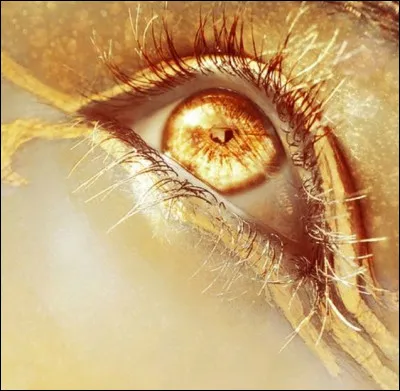 Qui a écrit "La Fille aux yeux d'or" ?