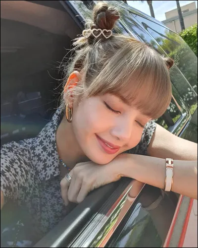 Quel est son nom ? (De naissance)