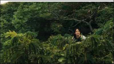 Tu viens d'être jeté(e) dans l'arène, où vas-tu ?