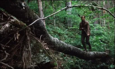 Tu as réussi à survivre au tribut qui t'a sauté dessus. Tu es maintenant dans la forêt, que fais-tu ?