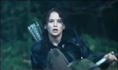 Les jours sont passés... Et maintenant il ne reste plus que toi et deux autres tributs, que comptes-tu faire pour gagner ?